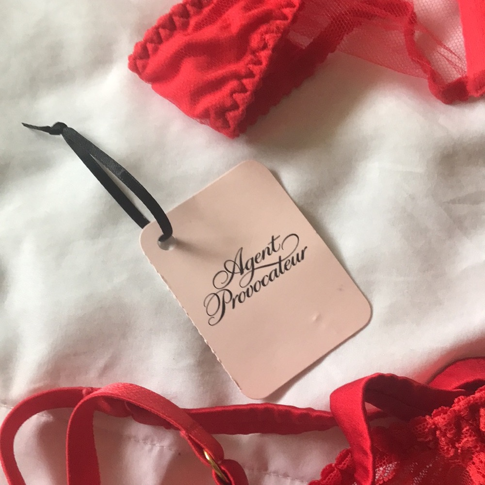 SOLD // AP Rozlyn SET Knickers Forever Bra (32DD) & Suspender Thong (2) w Straps - Picture 8 of 8